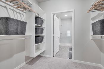 Oversized closets*